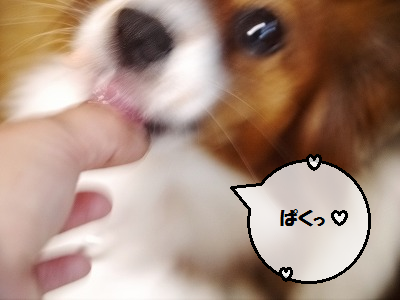 b0243804_10553224.png