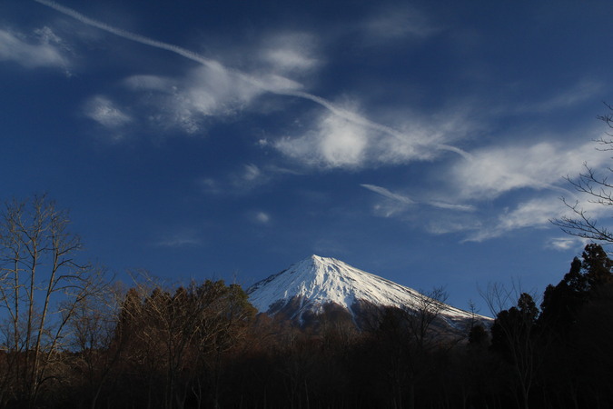 a0188405_8334127.jpg