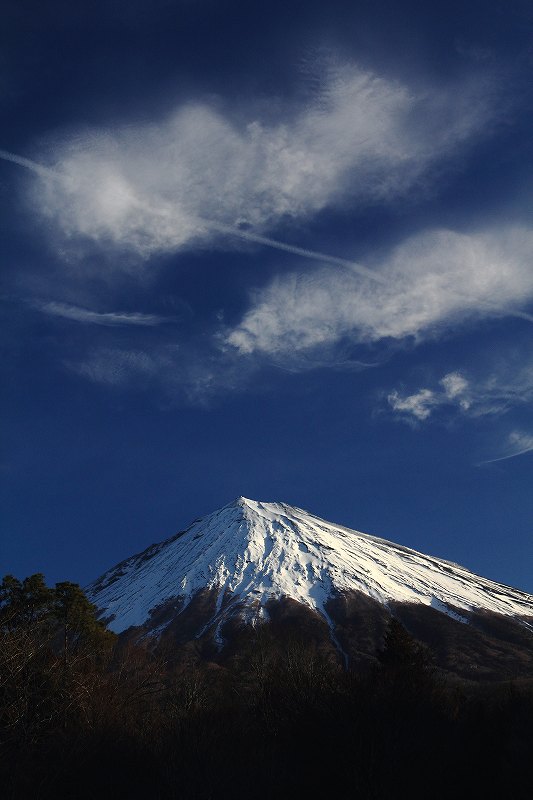 a0188405_8372796.jpg