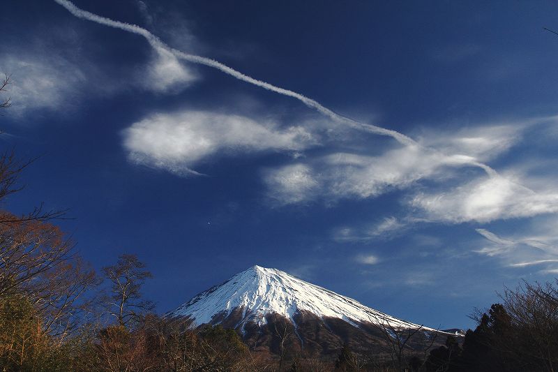 a0188405_838031.jpg