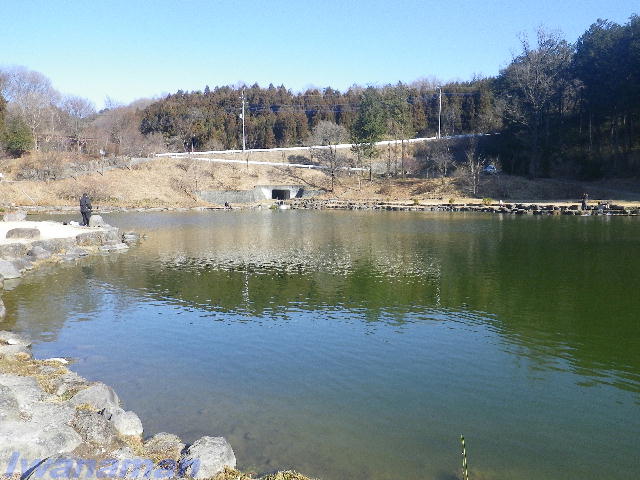 b0172209_17154944.jpg