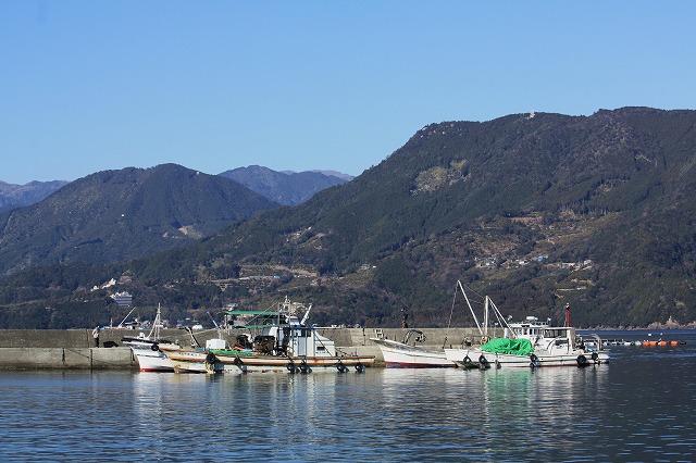 d0154609_13223534.jpg