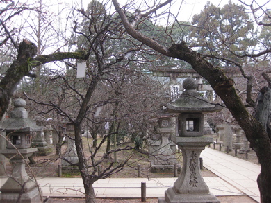 a0164011_11394114.jpg