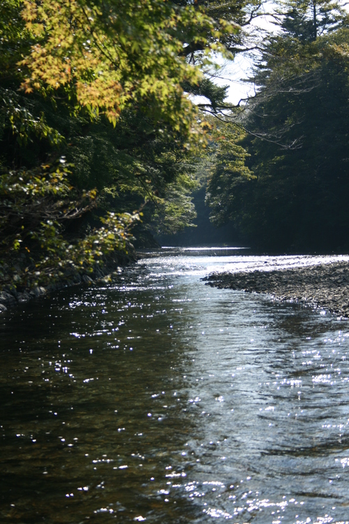 f0044715_13394584.jpg