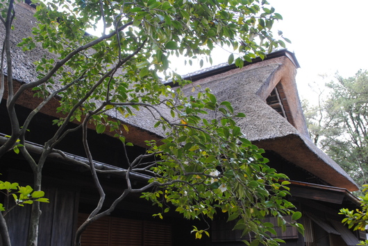 b0209919_23413759.jpg