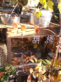 e0112619_23222219.jpg