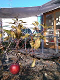 e0112619_23222247.jpg