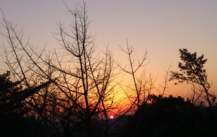 d0024220_2159072.jpg