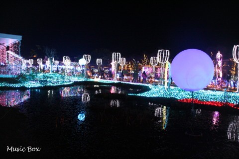 c0071221_10145474.jpg