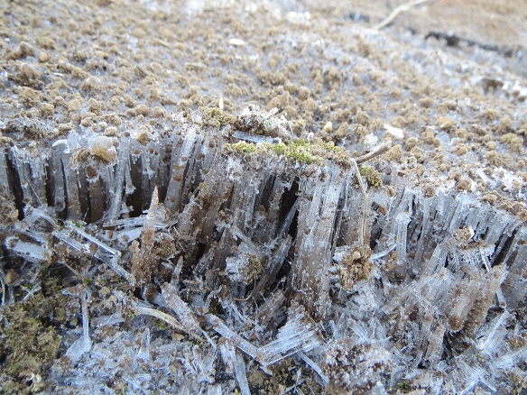 e0201021_15291242.jpg
