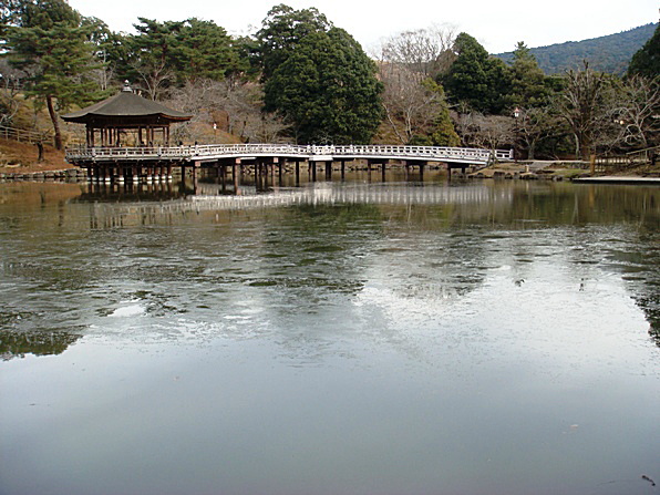 b0068423_2221510.jpg