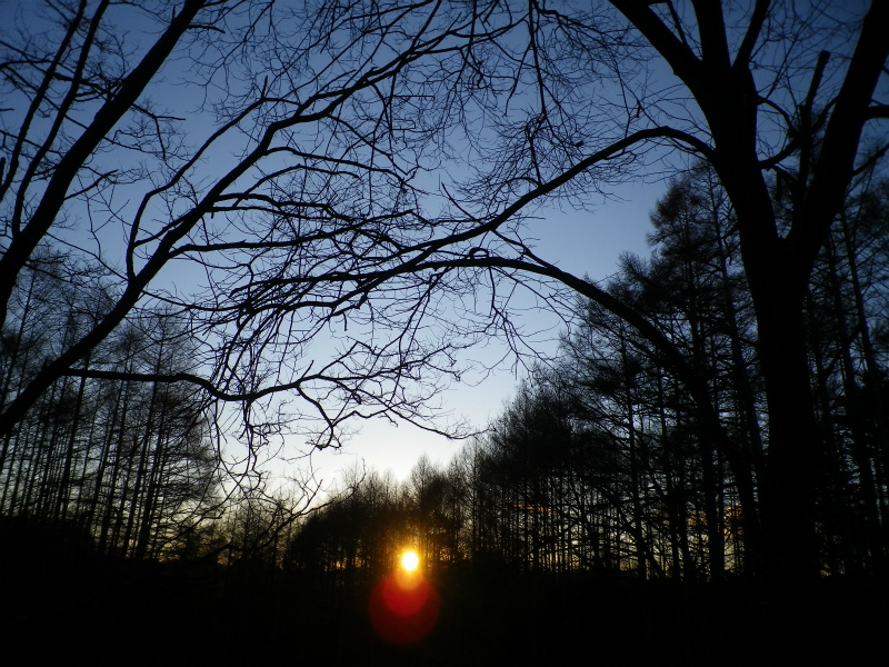 f0188324_2191737.jpg