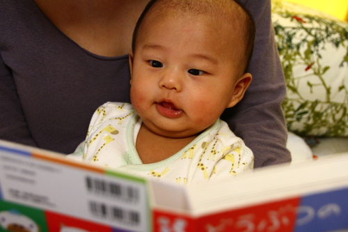 d0158028_1416970.jpg