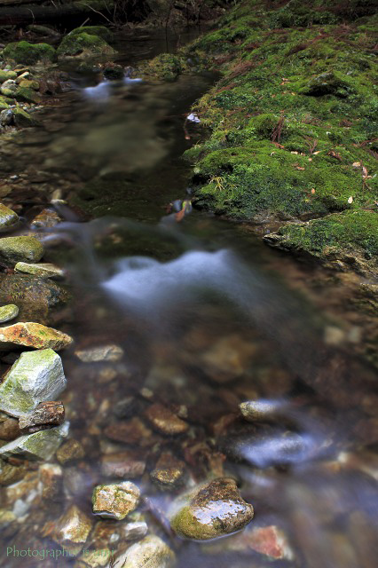 e0083238_2010114.jpg