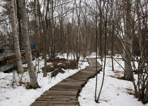 b0178339_17433037.jpg
