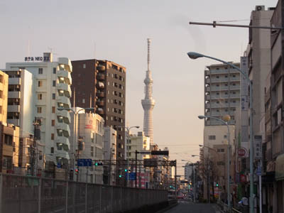 b0019140_1535444.jpg