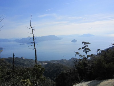 e0110940_2131096.jpg