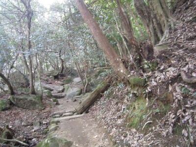 e0110940_236268.jpg