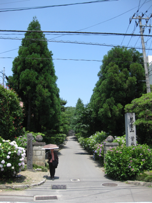f0141840_3364980.jpg