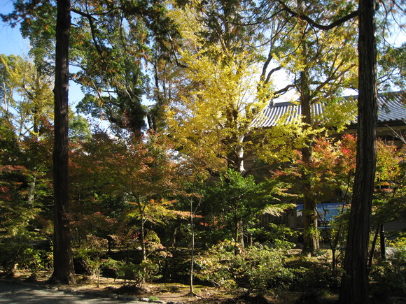 b0032346_17324163.jpg