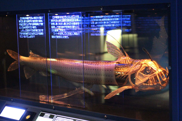 e0294253_20241770.jpg
