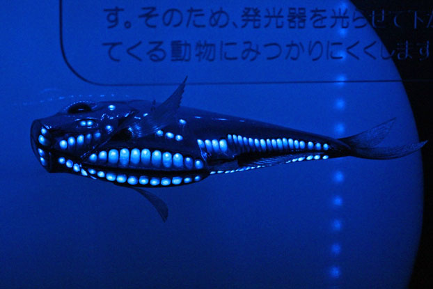 e0294253_2029996.jpg