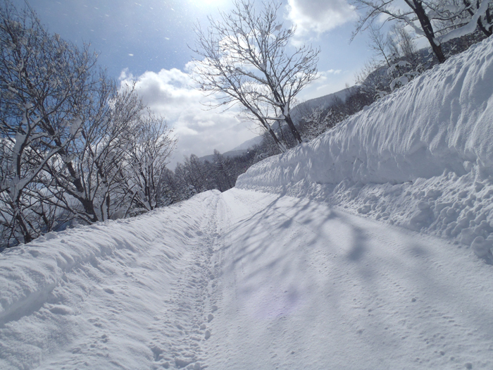 f0225953_21462267.jpg
