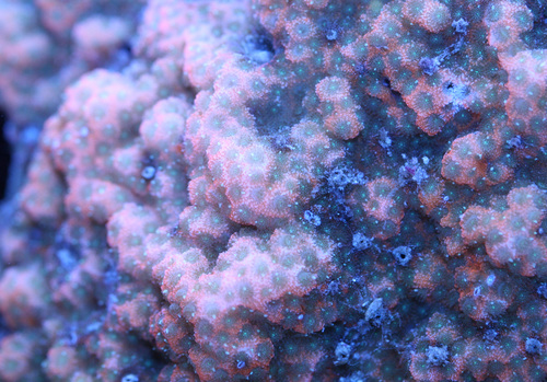 a0162261_18284865.jpg