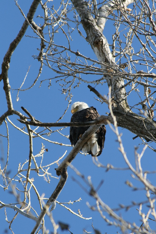 c0115366_236540.jpg