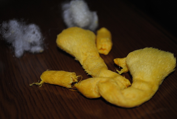 b0242873_152170.jpg