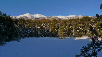 f0182173_14212993.jpg