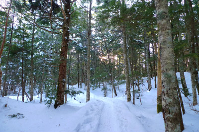 f0182173_142147.jpg