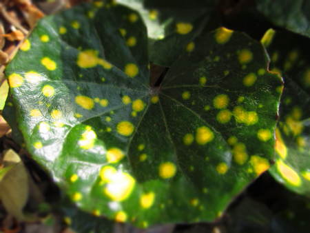 d0264176_19291036.jpg