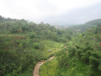 e0118683_1524119.jpg