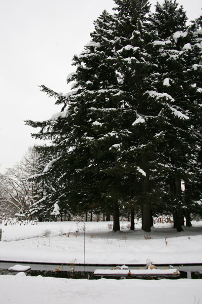 f0127388_2225724.jpg