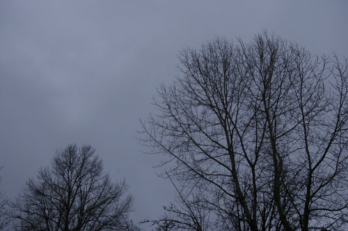 b0283192_13305111.jpg