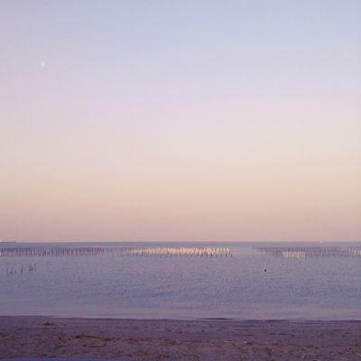 d0170799_2245563.jpg