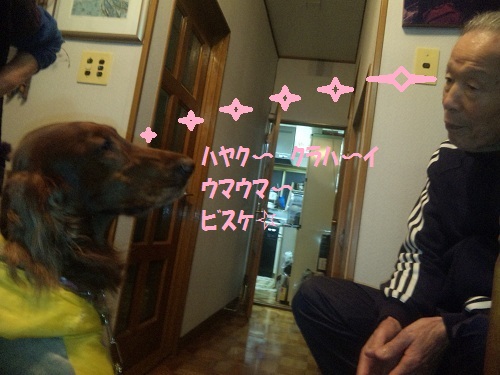 a0134004_23591917.jpg