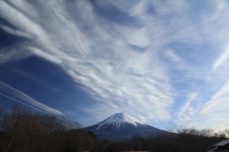 a0188405_8241125.jpg