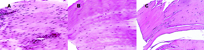 b0112009_1214329.png