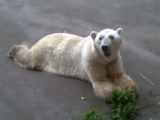 a0151913_0131483.jpg