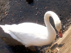 a0053420_1302291.jpg