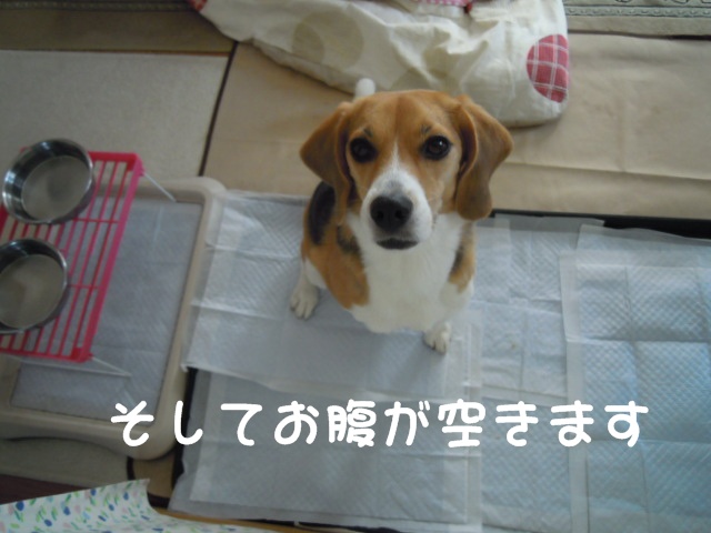 c0166622_14402413.jpg