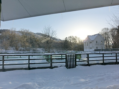 b0279527_14322899.jpg