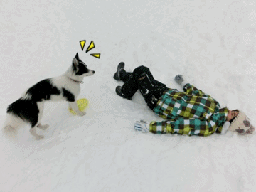b0279527_14382417.gif