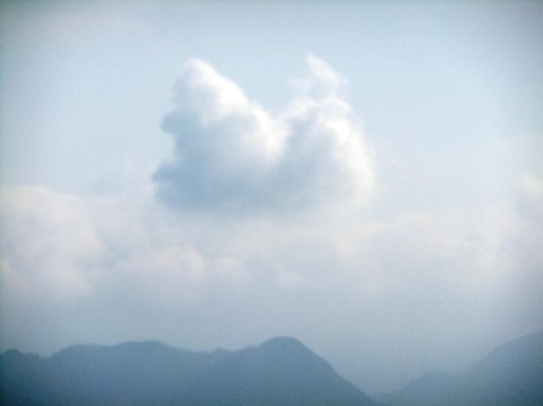e0303929_8162049.jpg