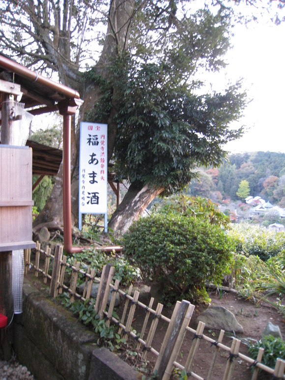 b0032346_15501968.jpg