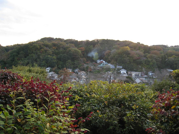 b0032346_1551065.jpg