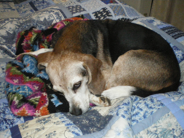 c0134850_1225458.jpg