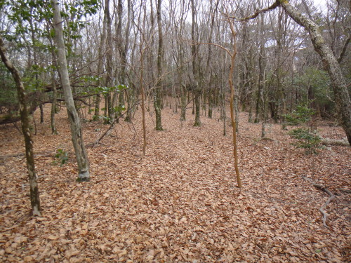 c0179351_935154.jpg